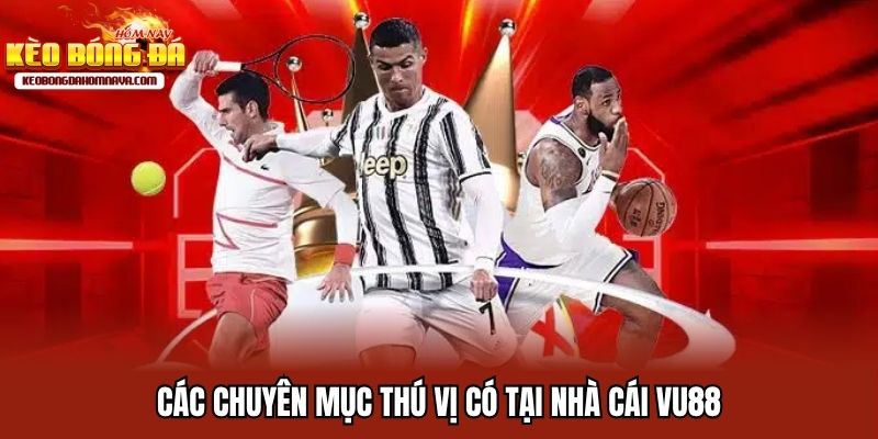 Vu88 - Địa Điểm Cung Cấp Kèo Xanh Chín, Uy Tín Số 1 Các chuyên mục thú vị có tại nhà cái Vu88