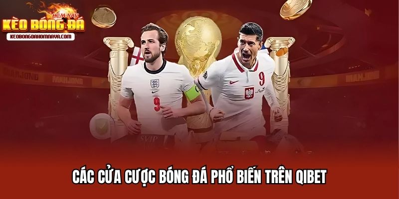 Qibet - Giới Thiệu Nhà Cái Cá Cược Bóng Đá Uy Tín Bậc Nhất Các cửa cược bóng đá phổ biến trên Qibet