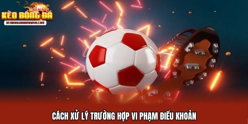 Cách xử lý trường hợp vi phạm điều khoản