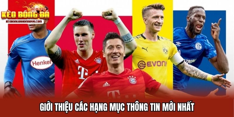 Giới thiệu các hạng mục thông tin mới nhất