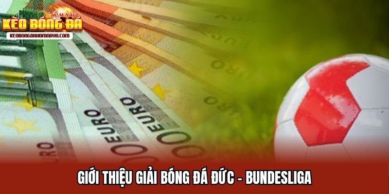 Soi Kèo Bóng Đá Đức Kinh Nghiệm Cá Độ Trăm Trận Trăm Thắng Giới thiệu giải bóng đá hàng đầu châu Âu - VĐQG Đức Bundesliga
