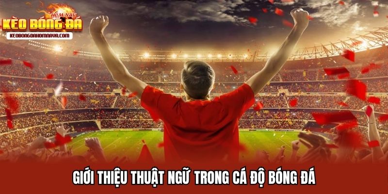Thuật Ngữ Trong Cá Độ Bóng Đá Đầy Đủ Nhất Cho Người Chơi Mới Giới thiệu thuật ngữ trong cá độ bóng đá