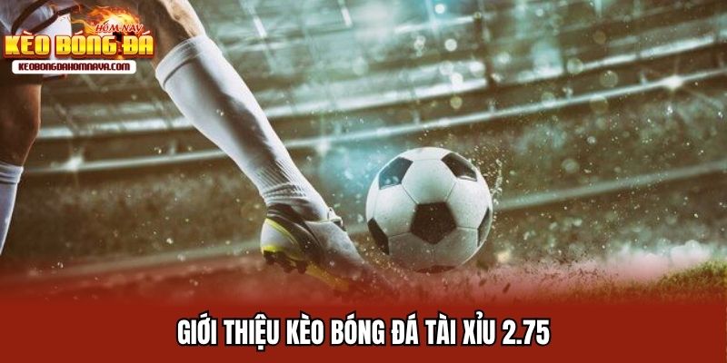 Tài Xỉu 2.75 - Cách Đọc Kèo Cùng Kinh Nghiệm Cá Độ Bất Bại Giới thiệu tài xỉu 2.75 kèo bóng đá thú vị