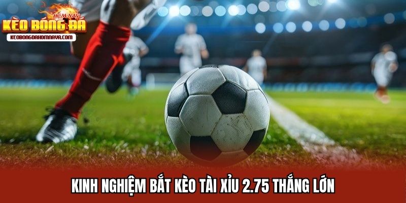 Tài Xỉu 2.75 - Cách Đọc Kèo Cùng Kinh Nghiệm Cá Độ Bất Bại Kinh nghiệm bắt kèo 2.75 tài xỉu bóng đá thắng lớn