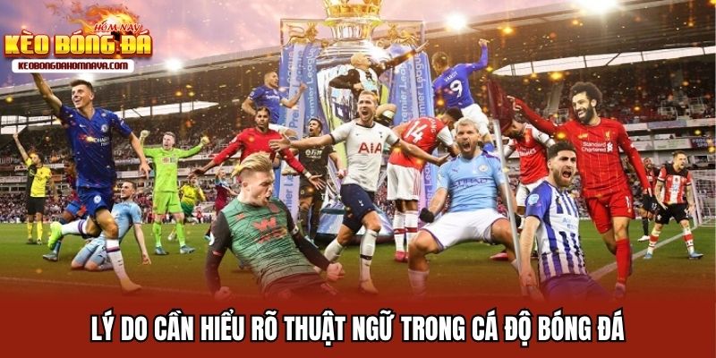 Thuật Ngữ Trong Cá Độ Bóng Đá Đầy Đủ Nhất Cho Người Chơi Mới Lý do cần hiểu rõ thuật ngữ trong cá độ bóng đá
