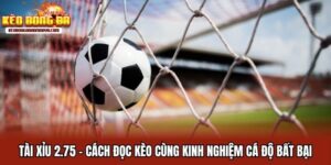 Tài Xỉu 2.75 - Cách Đọc Kèo Cùng Kinh Nghiệm Cá Độ Bất Bại