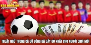 Thuật Ngữ Trong Cá Độ Bóng Đá Đầy Đủ Nhất Cho Người Mới