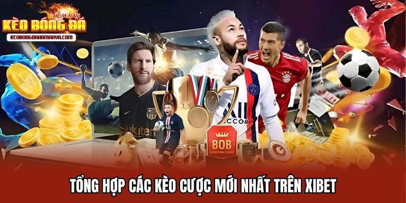 Xibet - Giới Thiệu Nhà Cái Cá Cược Thể Thao Top Đầu Thưởng Lớn Tổng hợp các kèo cược mới nhất trên Xibet