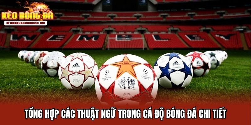 Thuật Ngữ Trong Cá Độ Bóng Đá Đầy Đủ Nhất Cho Người Chơi Mới Tổng hợp các thuật ngữ trong cá độ bóng đá chi tiết