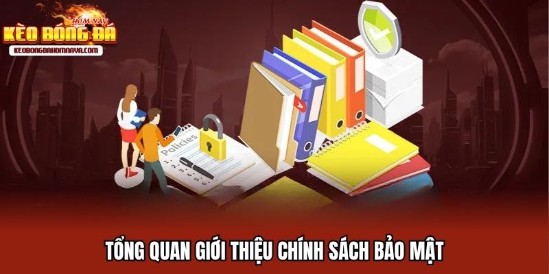 Chính Sách Bảo Mật - Những Điều Cần Biết Để Bảo Vệ Tài Khoản Tổng quan giới thiệu chính sách bảo mật