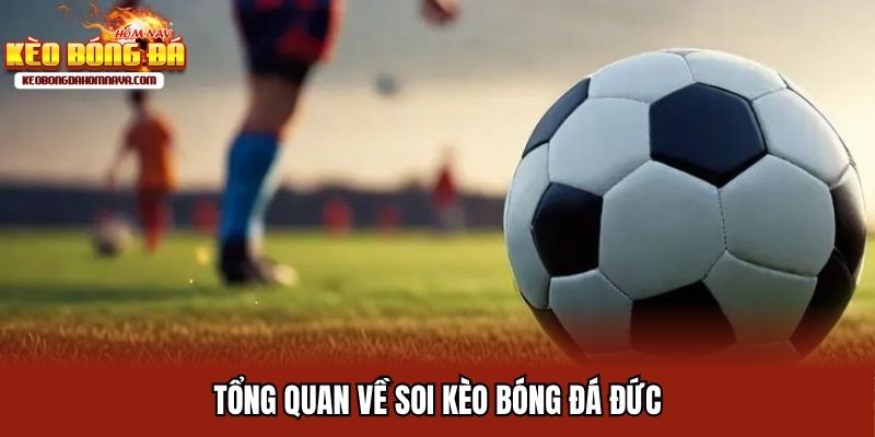 Soi Kèo Bóng Đá Đức Kinh Nghiệm Cá Độ Trăm Trận Trăm Thắng Thông tin cơ bản soi kèo bóng đá Đức