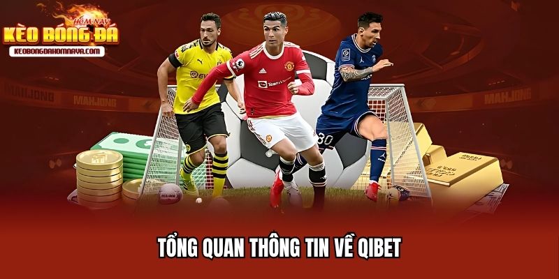 Qibet - Giới Thiệu Nhà Cái Cá Cược Bóng Đá Uy Tín Bậc Nhất Tổng quan thông tin về Qibet