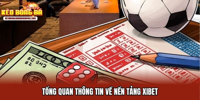 Xibet - Giới Thiệu Nhà Cái Cá Cược Thể Thao Top Đầu Thưởng Lớn Tổng quan thông tin về nền tảng Xibet