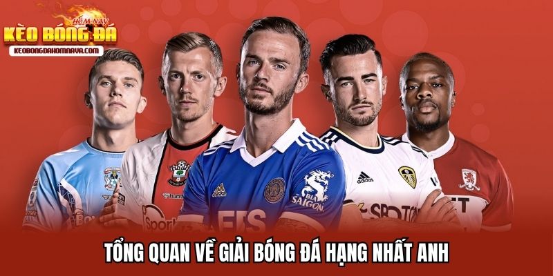 Bóng Đá Hạng Nhất Anh - Cuộc Đua Khốc Liệt Tới Premier League Tổng quan nét chính về giải bóng đá hạng nhất Anh