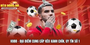 Vu88 - Địa Điểm Cung Cấp Kèo Xanh Chín, Uy Tín Số 1