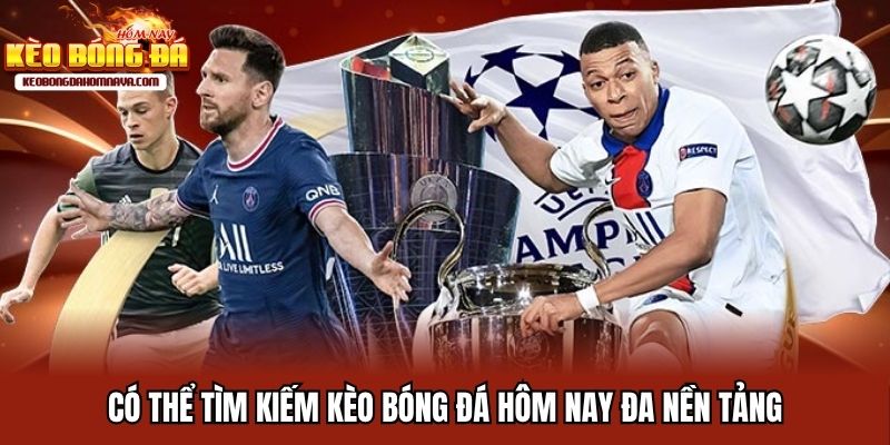 Trang chủ Website hỗ trợ tìm kiếm tin tức đa nền tảng