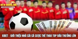 Xibet - Giới Thiệu Nhà Cái Cá Cược Top Đầu Thưởng Lớn