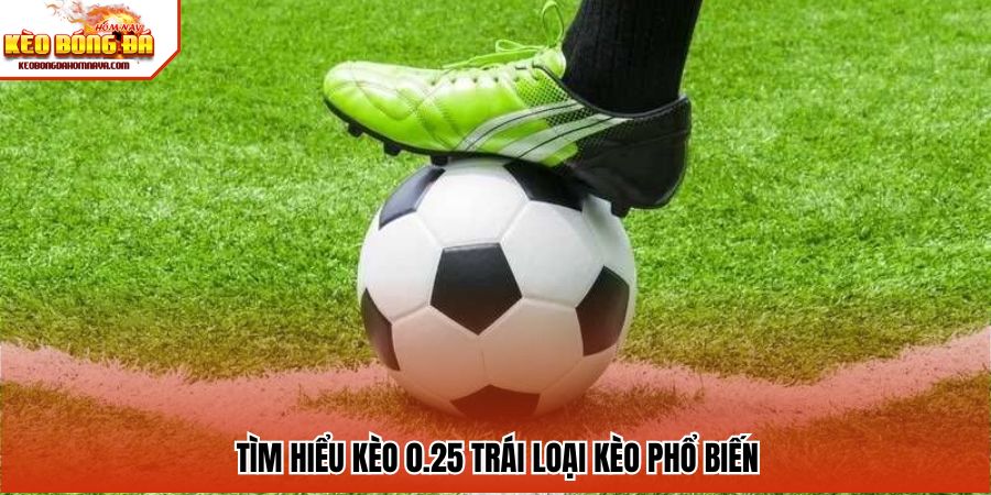 Kèo 0.25 Trái - Loại Kèo Nhỏ Nhưng Tiềm Năng Thắng Cực Cao Tìm hiểu kèo 0.25 trái loại kèo phổ biến