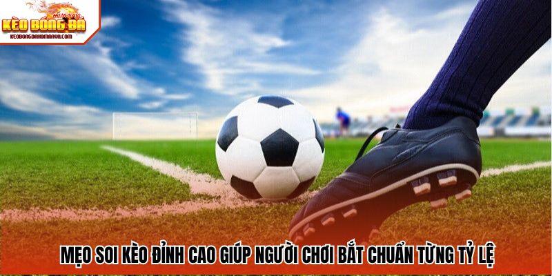 Kèo Rung Là Gì USBET - Giải Mã Loại Kèo Hot Trong Bóng Đá Mẹo soi kèo đỉnh cao giúp người chơi bắt chuẩn từng tỷ lệ